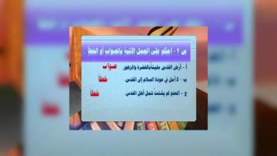 Photo of قناة التربوية – مادة اللغة العربية – الصف 06 –