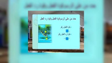 Photo of قناة التربوية – مادة العلوم – الصف 06 –