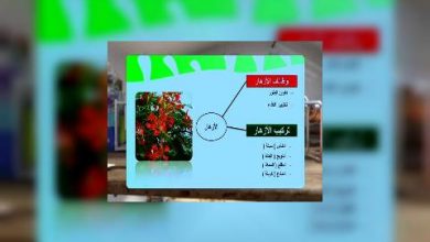 Photo of قناة التربوية – مادة العلوم – الصف 08 –