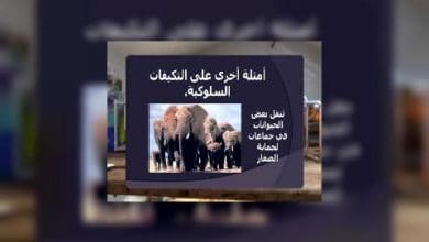 Photo of قناة التربوية – مادة العلوم – الصف 06 – الحلقة 02