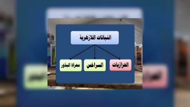 Photo of قناة التربوية – مادة العلوم – الصف 08 – الحلقة 01