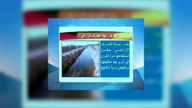 Photo of قناة التربوية – مادة الاجتماعيات (الوطن العربي) – الصف 10 –