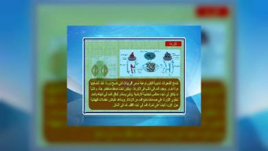 Photo of قناة التربوية – مادة الاحياء – الصف 11 – الحلقة 14