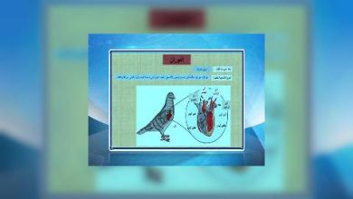 Photo of قناة التربوية – مادة الاحياء – الصف 10 – الحلقة 13
