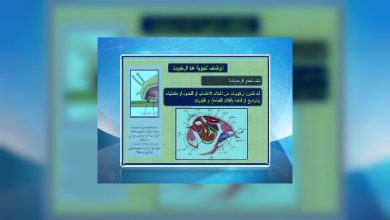 Photo of قناة التربوية – مادة الاحياء – الصف 10 – الحلقة 06
