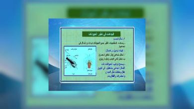Photo of قناة التربوية – مادة الاحياء – الصف 10 – الحلقة 01